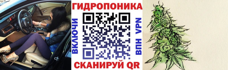 Меф Людиново