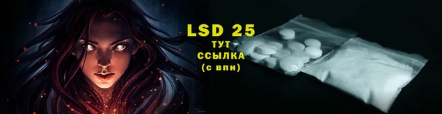 гашик Липки