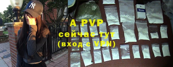 гашик Липки