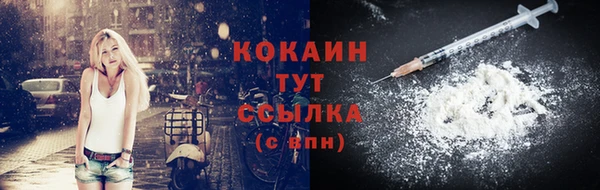 гашик Липки