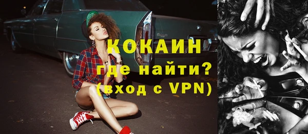 гашик Липки