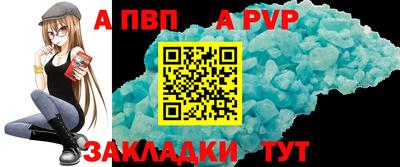 спиды Донской