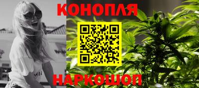 спиды Донской