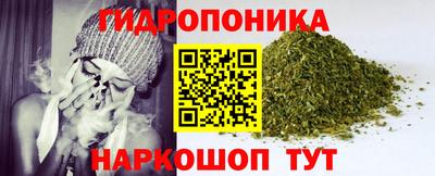 спиды Донской