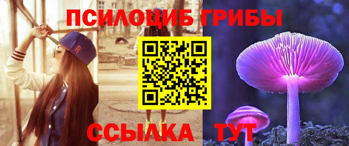 Псилоцибиновые грибы мицелий Людиново