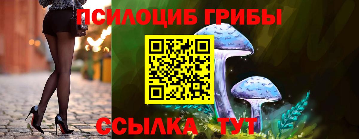 Людиново  Псилоцибиновые грибы прущие грибы  Вход с VPN 