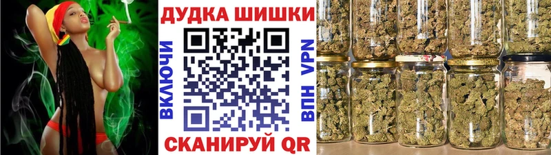 Конопля индика  Людиново 